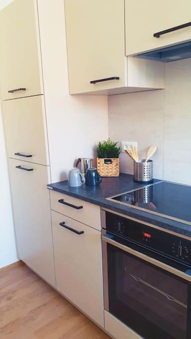 In With Bio Sauna Apartment *